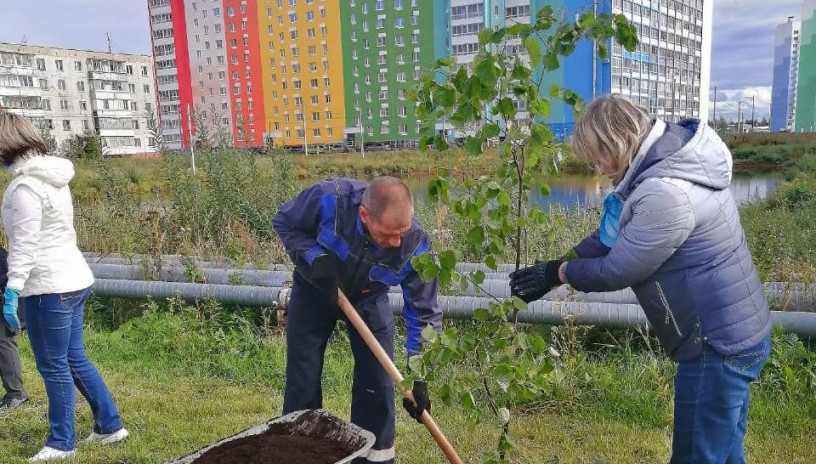 В Озерках и Чистых прудах высажены «Аллея землеустроителей»