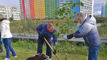 В Озерках и Чистых прудах высажены «Аллея землеустроителей»