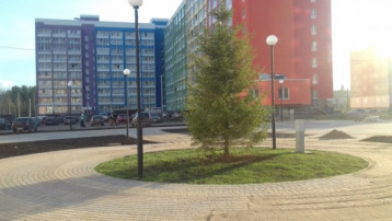 В Озерках становится уютнее!