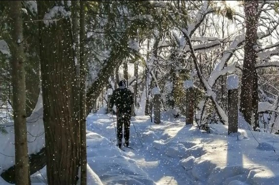 Лыжные прогулки