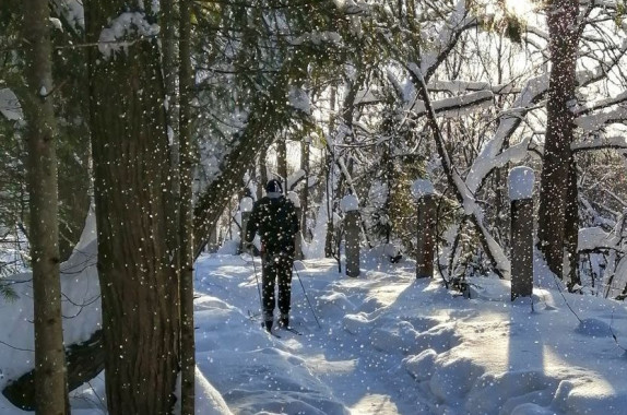 Лыжные прогулки